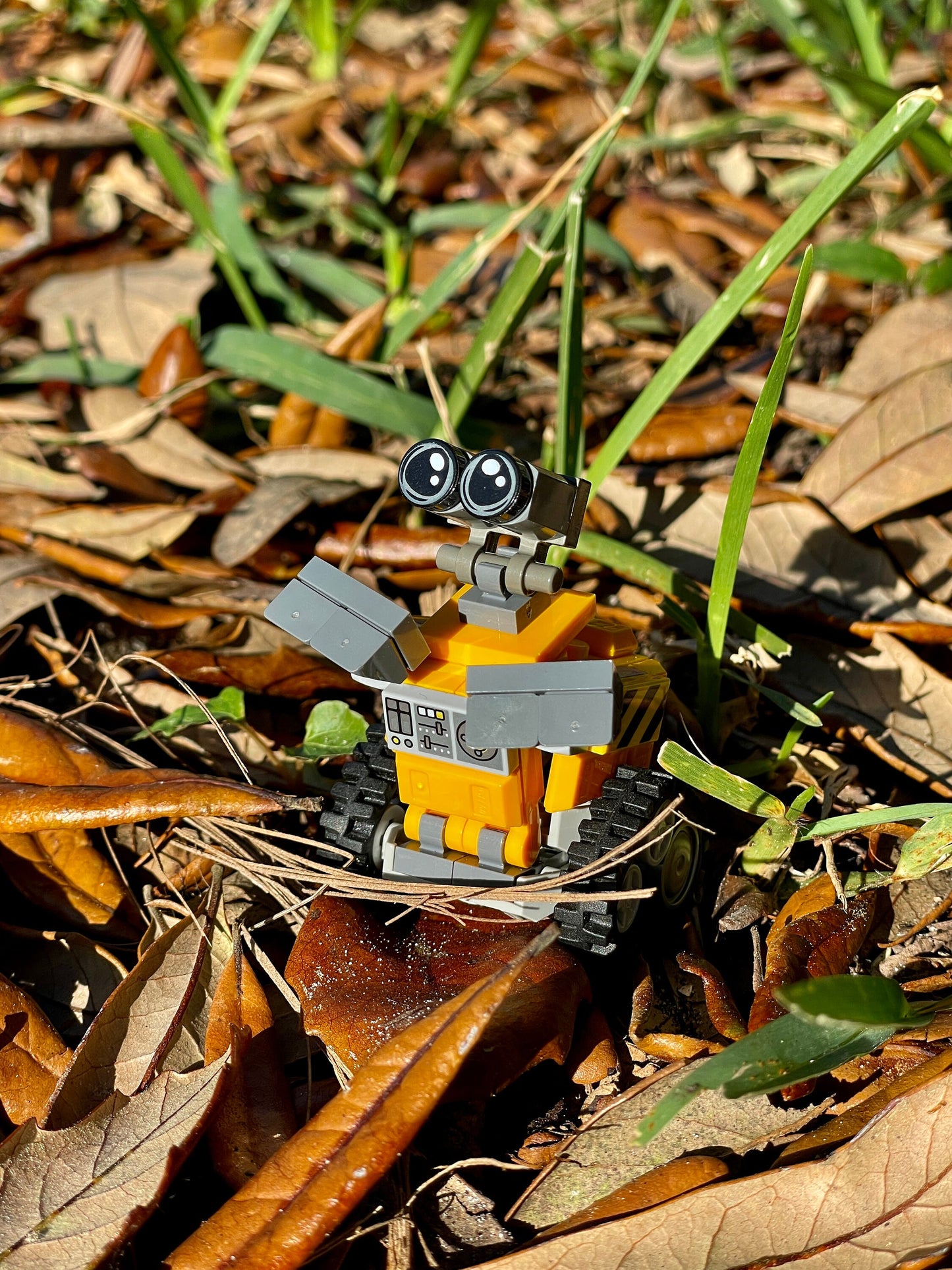 Wall•E | Pixar Building Block LEGO Model Kit